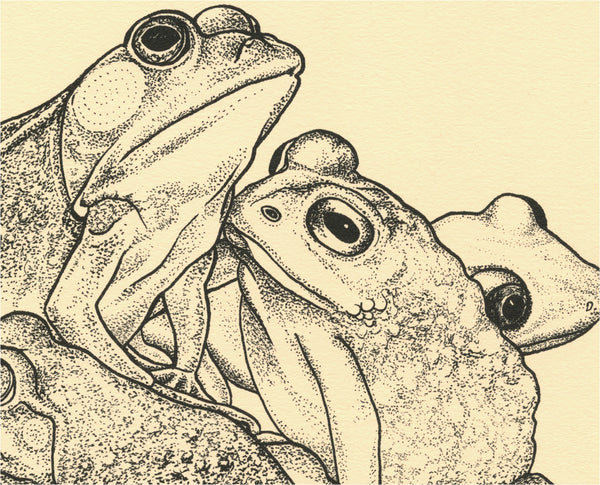 Frogknot print by Sanaa Scherezade Khan